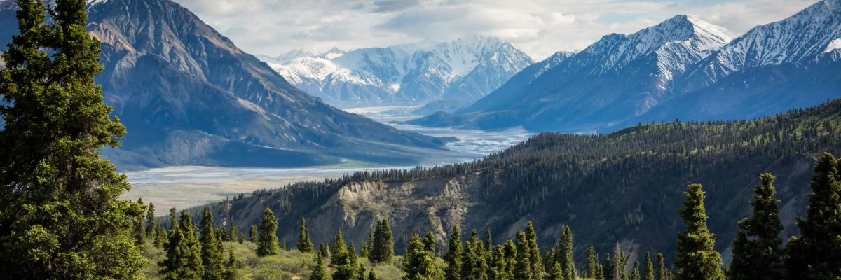 Zarrinkelk CPAs team